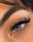 volume lashes 